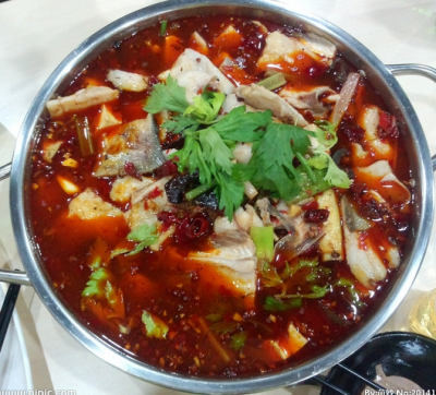 重庆冷锅鱼技术成人香蕉视频
