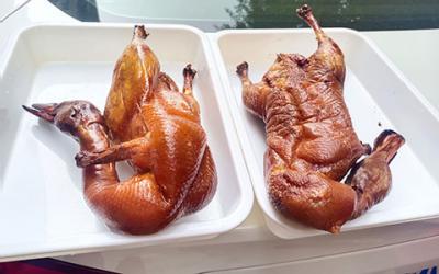 成都冒烤鸭技术成人香蕉视频哪家好?  专业冒烤鸭技术成人香蕉视频