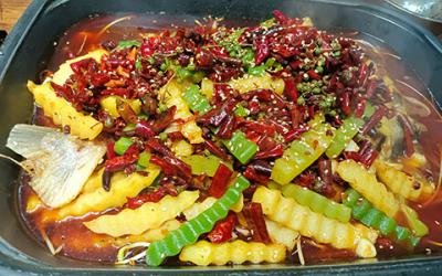烤鱼成人香蕉视频学费多少钱？